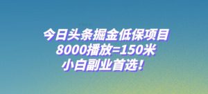 今日头条掘金低保项目，8000播放=150米，小白副业首选【揭秘】-项目资源库