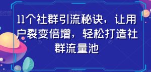 11个社群引流秘诀,让用户裂变倍增,轻松打造社群流量池-项目资源库