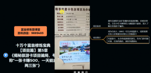十万个富翁修炼宝典之5.揭秘旅游卡项目骗局,号称“一张卡赚500,一天能卖两三张”-项目资源库