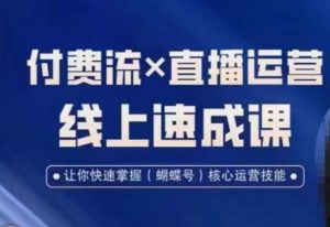 视频号付费流实操课程,付费流✖️直播运营速成课,让你快速掌握视频号核心运营技能-项目资源库