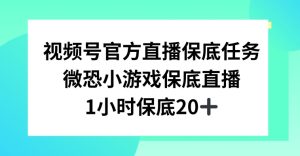 视频号直播任务，微恐小游戏，1小时20+【揭秘】-项目资源库