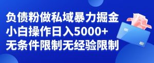 负债粉私域暴力掘金，小白操作入5000，无经验限制，无条件限制【揭秘】-项目资源库