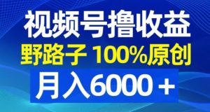 视频号野路子撸收益，100%原创，条条爆款，月入6000＋【揭秘】-项目资源库