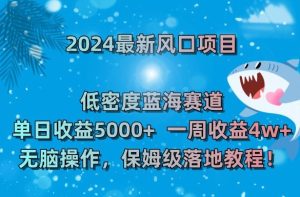 2024最新风口项目,低密度蓝海赛道,单日收益5000+,一周收益4w+!【揭秘】-项目资源库