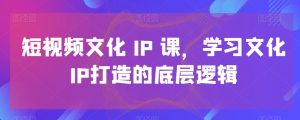 短视频文化IP课，学习文化IP打造的底层逻辑-项目资源库