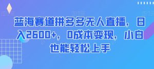 蓝海赛道拼多多无人直播，日入2600+，0成本变现，小白也能轻松上手【揭秘】-项目资源库