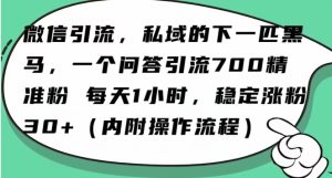 怎么搞精准创业粉?微信新赛道,每天一小时,利用Ai一个问答日引100精准粉-项目资源库