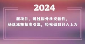 2024新项目，通过国外社交软件，快速涨粉精准引流，轻松做到月入上万【揭秘】-项目资源库