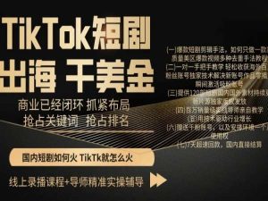 TikTok短剧出海干美金，商业已经闭环抓紧布局，抢占关键词抢占排名-项目资源库
