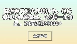 临近春节超火存钱打卡,轻松引爆小红薯流量,3分钟一条作品,20天涨粉4000+【揭秘】-项目资源库