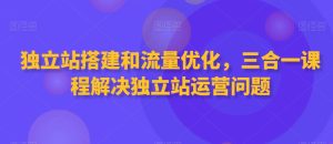独立站搭建和流量优化,三合一课程解决独立站运营问题-项目资源库