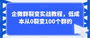 企微群裂变实战教程,低成本从0裂变100个群的-项目资源库