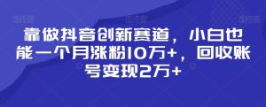靠做抖音创新赛道,小白也能一个月涨粉10万+,回收账号变现2万+【揭秘】-项目资源库