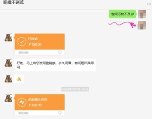 快手短剧掘金，无视粉丝数，暴力玩法简单上手搬运，轻松日入1000+，可矩阵操作【揭秘】-项目资源库