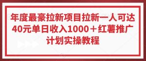 年度最豪拉新项目拉新一人可达40元单日收入1000+红薯推广计划实操教程【揭秘】-项目资源库