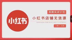 安琪-小红书店铺无货源实战,开店到售后全流程操作-项目资源库