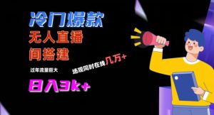 冷门爆款直播间手把手搭建，流量巨大，日入3k+【揭秘】-项目资源库