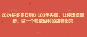 2024拼多多日销0-100单实操,让你迅速起步,做一个稳定盈利的店铺出来-项目资源库