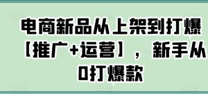 电商新品从上架到打爆【推广+运营】,新手从0打爆款-项目资源库