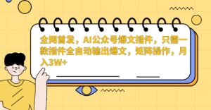 全网首发，AI公众号爆文插件，只需一款插件全自动输出爆文，矩阵操作，月入3W+【揭秘】-项目资源库