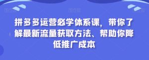 拼多多运营必学体系课,带你了解最新流量获取方法、帮助你降低推广成本-项目资源库