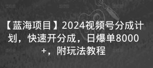 【蓝海项目】2024视频号分成计划，快速开分成，日爆单8000+，附玩法教程-项目资源库