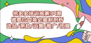 拼多多培训班第34期:做高价女装必盈利剖析选品/测款/运营/推广/拓展-项目资源库