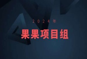 2024年果果项目组项目合集-果果最新项目-项目资源库