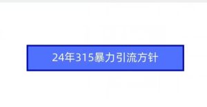 24年315暴力引流方针-项目资源库