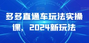 多多直通车玩法实操课,2024新玩法-项目资源库