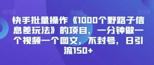 快手批量操作《1000个野路子信息差玩法》的项目，一分钟做一个视频一个图文，不封号，日引流150+【揭秘】-项目资源库