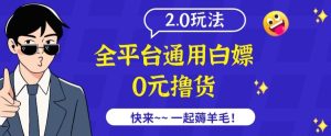 外面收费2980的全平台通用白嫖撸货项目2.0玩法【仅揭秘】-项目资源库