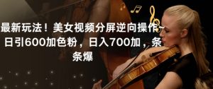 最新玩法！美女视频分屏逆向操作~日引600加色粉，日入700加，条条爆【揭秘】-项目资源库