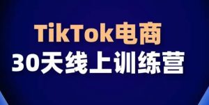 TikTok电商带货30天线上课,不可错过的全球流量洼地!-项目资源库