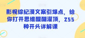影视综纪漫文案引爆点,给你打开思维醍醐灌顶,255种开头详解课-项目资源库