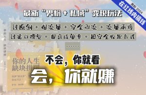 2024，“男粉+私域”还是最耐造、最赚、最轻松、最愉快的变现方式【揭秘】-项目资源库