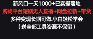 新风口一天1000+已实操落地购物平台短剧无人直播+网盘拉新+带货多种变现长期可做【揭秘】-项目资源库