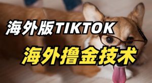 抖音海外版tiktok撸金技术，这个风口行业，赚钱真的不难【揭秘】-项目资源库