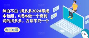 拼多多2024零成本包起，0成本做一个高利润的拼多多，方法不只一个-项目资源库