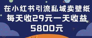 在小红书引流私域卖壁纸每张29元单日最高卖出200张(0-1搭建教程)【揭秘】-项目资源库