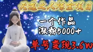 天选之人炼金项目,一个作品涨粉5000+,单号变现3.6w【揭秘】-项目资源库