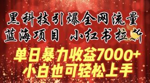 蓝海项目!黑科技引爆全网流量小红书拉新,单日暴力收益7000+,小白也能轻松上手【揭秘】-项目资源库