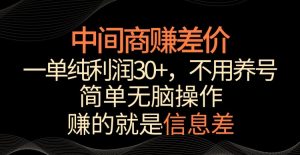 中间商赚差价，一单纯利润30+，简单无脑操作，赚的就是信息差，轻轻松松日入1000+【揭秘】-项目资源库