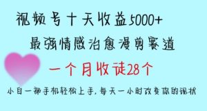十天收益5000+,多平台捞金,视频号情感治愈漫剪,一个月收徒28个,小白一部手机轻松上手【揭秘】-项目资源库