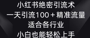 小红书绝密引流术，一天引流100+精准流量，适合各个行业，小白也能轻松上手【揭秘】-项目资源库