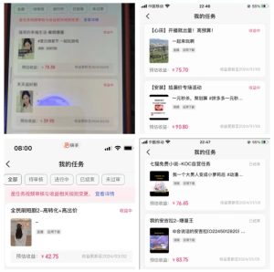 2024年3月最新,快手磁力聚星全流程实操教学,8台手机日均收益稳定100~200元【揭秘】-项目资源库