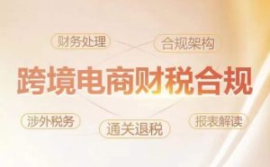 跨境老板财税合规特训营，规避财税风险、提升企业利润-项目资源库