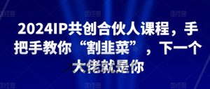 2024IP共创合伙人课程，手把手教你“割韭菜”，下一个大佬就是你-项目资源库