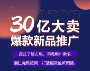 亚马逊·30亿大卖爆款新品推广,可复制、全程案例实操的爆款推新SOP-项目资源库
