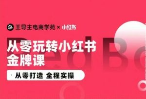 王导主·小红书电商运营实操课,从零打造 全程实操-项目资源库